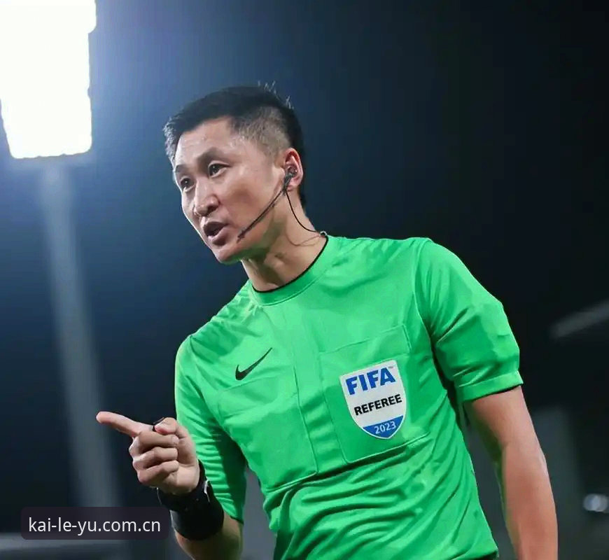 裁判的自我标准 vs 观众情绪：马宁世界杯前聊的“判与看”